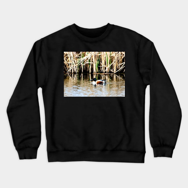 Duck on Pond Crewneck Sweatshirt by CanadianWild418